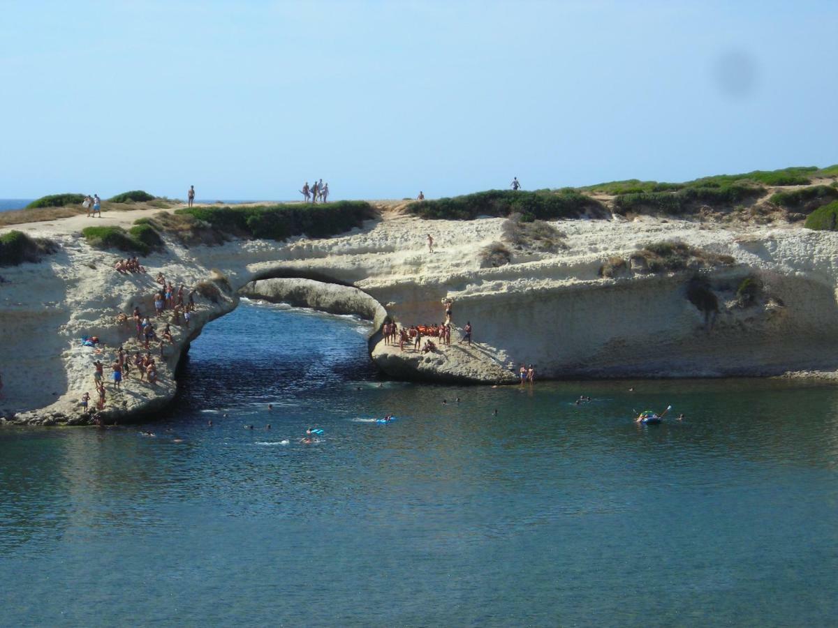 Il Nespolo *