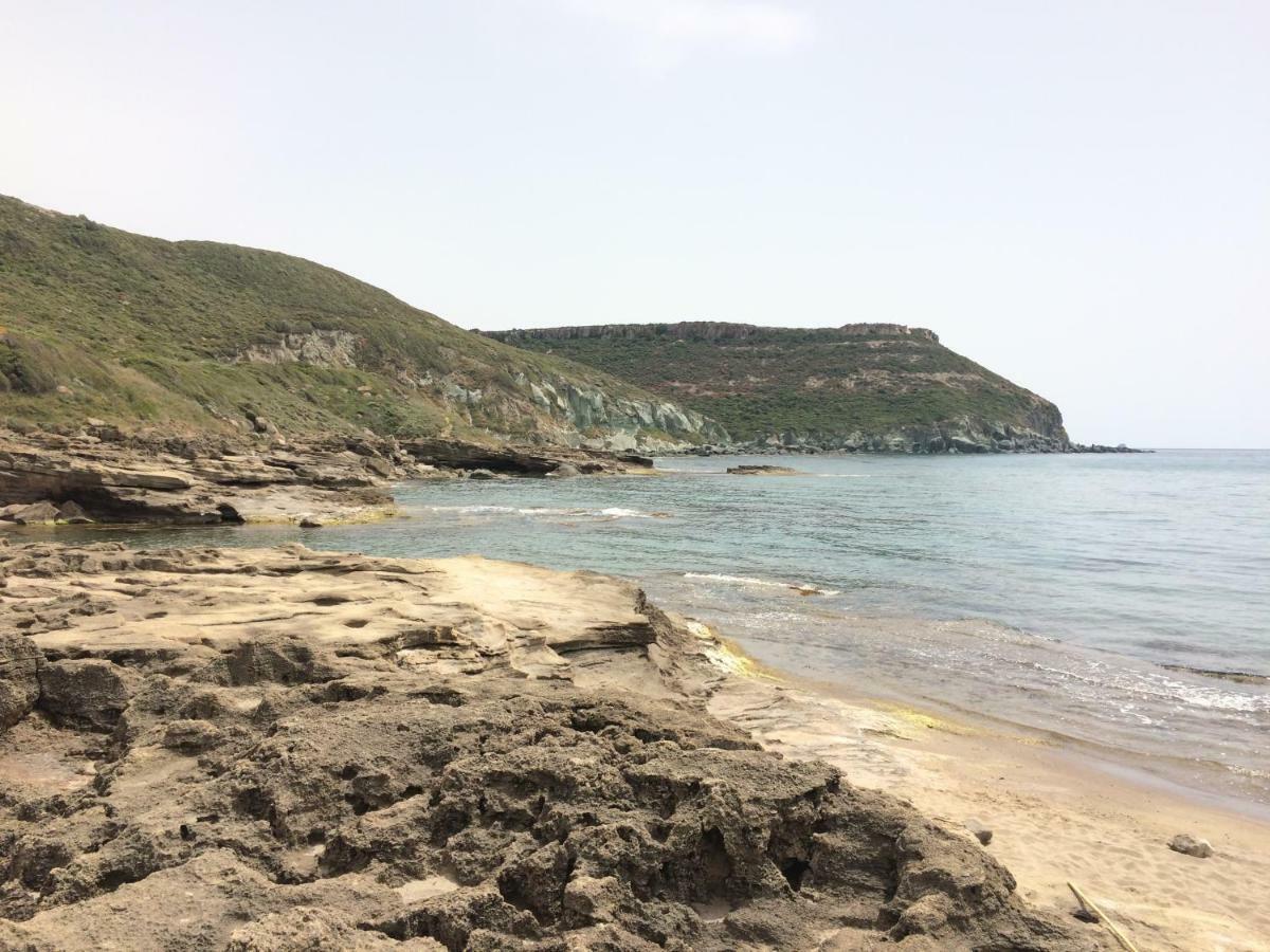 Il Nespolo *